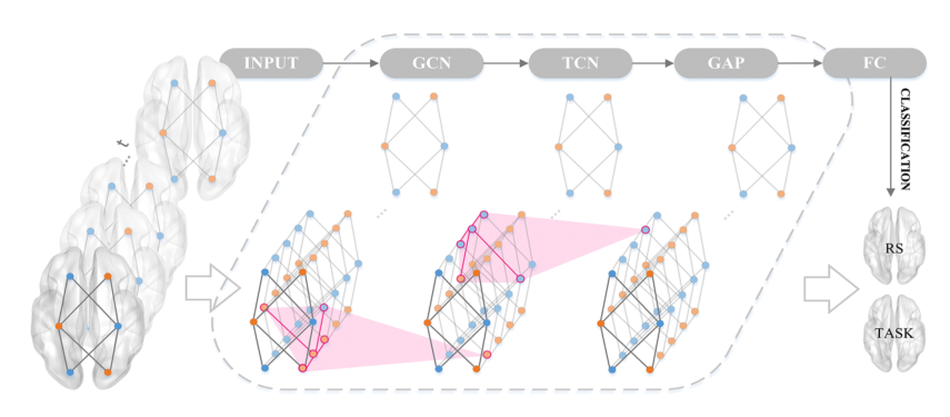 图:The architecture of the anatomy-guided spatio-temporal graph convolutional network (AG-STGCN)